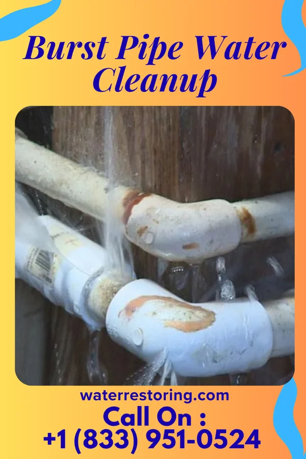 Burst Pipe Water Cleanup in Bonnieville, KY
