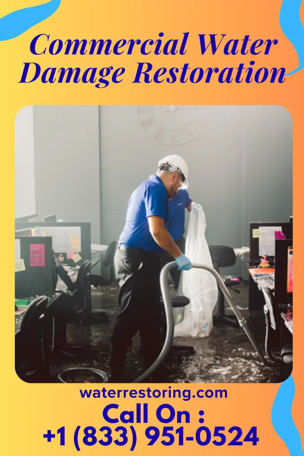 Commercial Water Damage Restoration in Bonnieville, KY