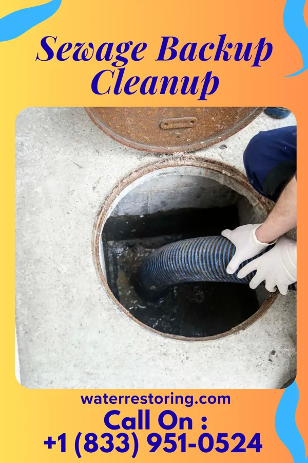 Sewage Backup Cleanup in Bonnieville, KY