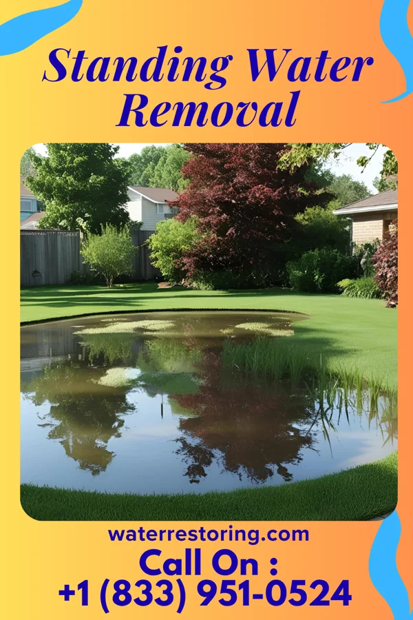Standing Water Removal in Bonnieville, KY